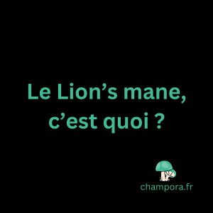 Le lion's mane, champignon fonctionnel Crinière de lion, c'est quoi ?