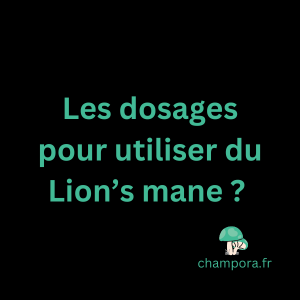 Les dosages pour utiliser du Lion's mane, le champignon fonctionnel Crinière de lion