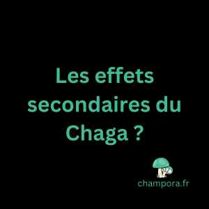 Les effets secondaires et contre-indications du champignon fonctionnel Chaga