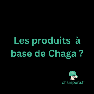 Les différents produits contenant le champignon fonctionnel Chaga