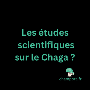 Les recherches scientifiques sur le Chaga