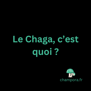 Qu'est-ce que le champignon fonctionnel Chaga