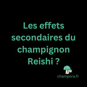 Les effets secondaires et contre-indications du champignon fonctionnel Reishi