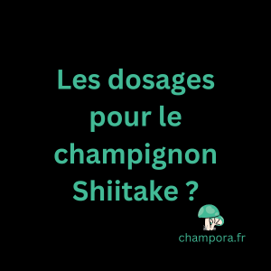 Les différents dosages du champignon fonctionnel Shiitake